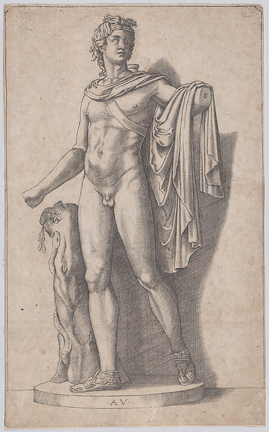 Agostino Veneziano (Agostino dei Musi), Apollo
