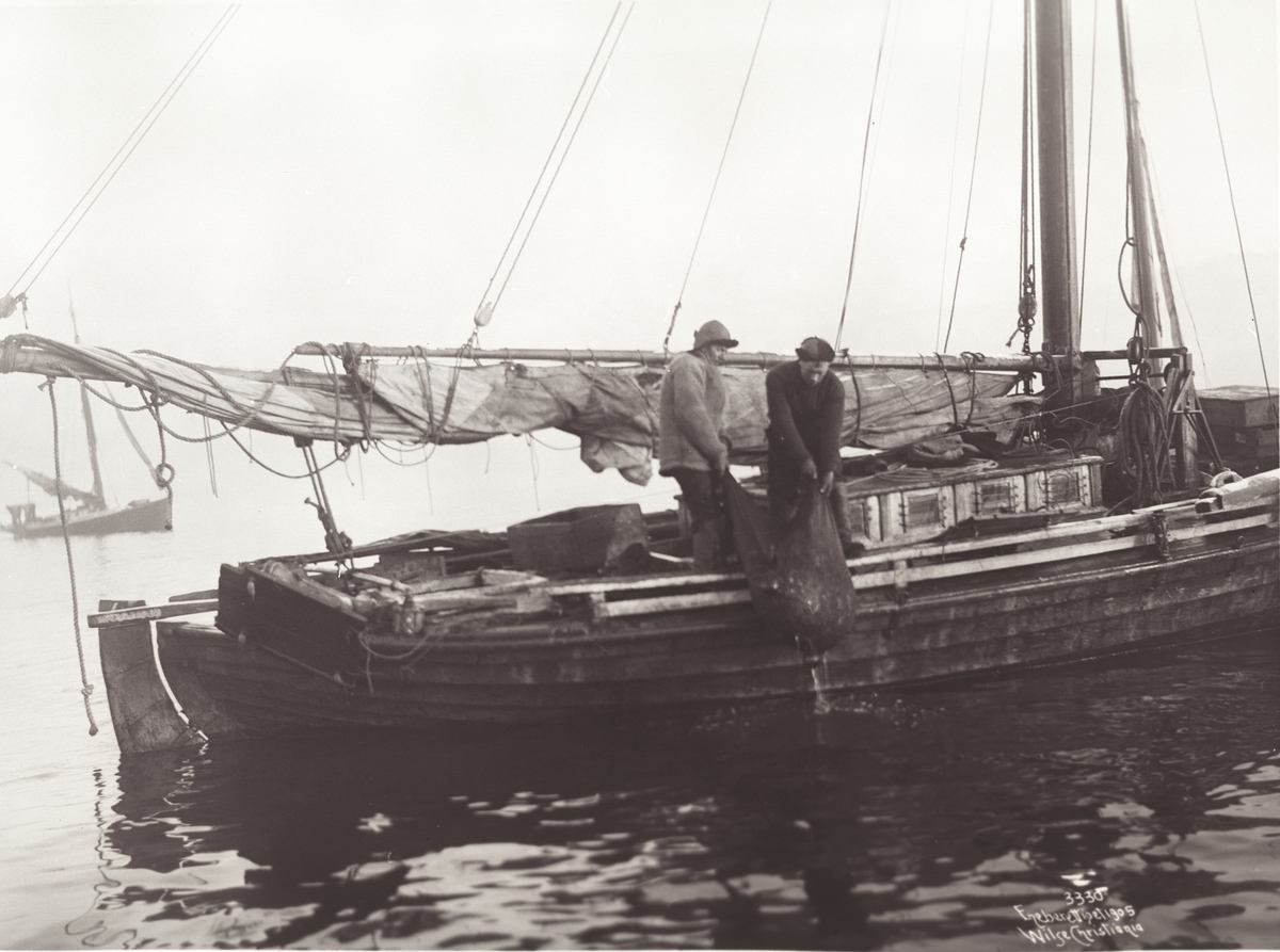 Anders Beer Wilse, Prot: Reketrawling 20/12 1904