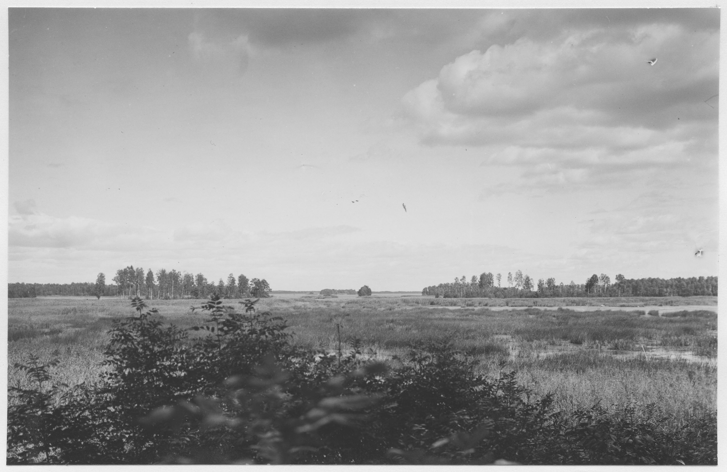 Mårten Sjöbeck, Segersjö