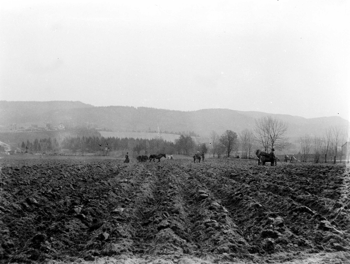 Juliane Fredrikke Langberg, Prestegårdsjordet, ant. Hurum prestegård, pløying med hest og folk. Fra malerinne Juliane Fredrikke Langbergs (1856-1930) samling, tatt ca.1895-1910 med motivkrets slekt og venner samt steder tilknyttet samvær med disse.