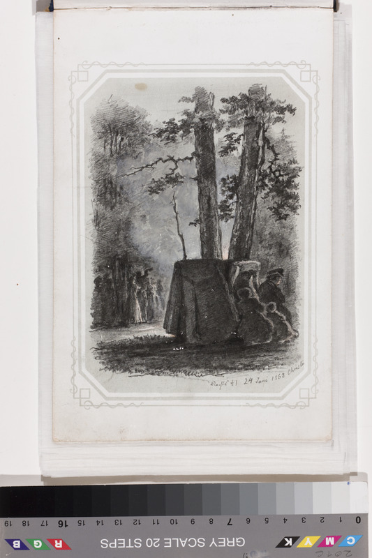 Georg Friedrich (autor) Schlater, Seltskond metsas. Leht joonistuste albumist