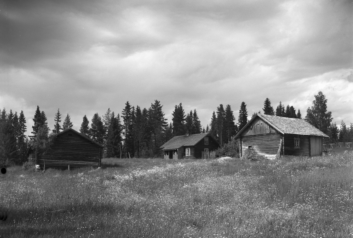 Anno Domkirkeodden, EKSTR: GARDSTUN, SOLBERG NEDRE SKOG, LØTEN(GRAV) Se Løtenboka, bind 3. Bygdeboka fra 1955, side 798