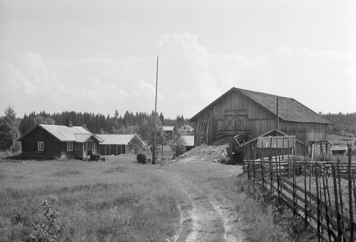 Anno Domkirkeodden, EKSTR: GARDSTUN, HAGELØKKEN. Se Løtenboka, bind 3. Bygdeboka fra 1955, side 483
