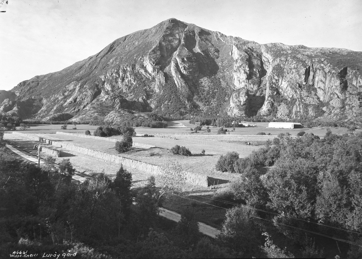 Anders Beer Wilse, Prot: Lurøy Gården