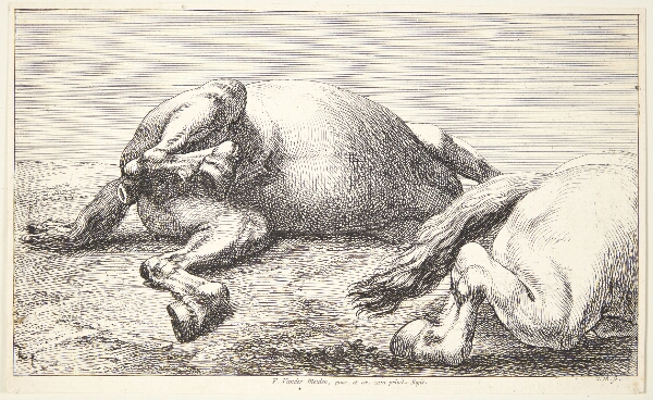 Jan van Huchtenburg, To faldne heste