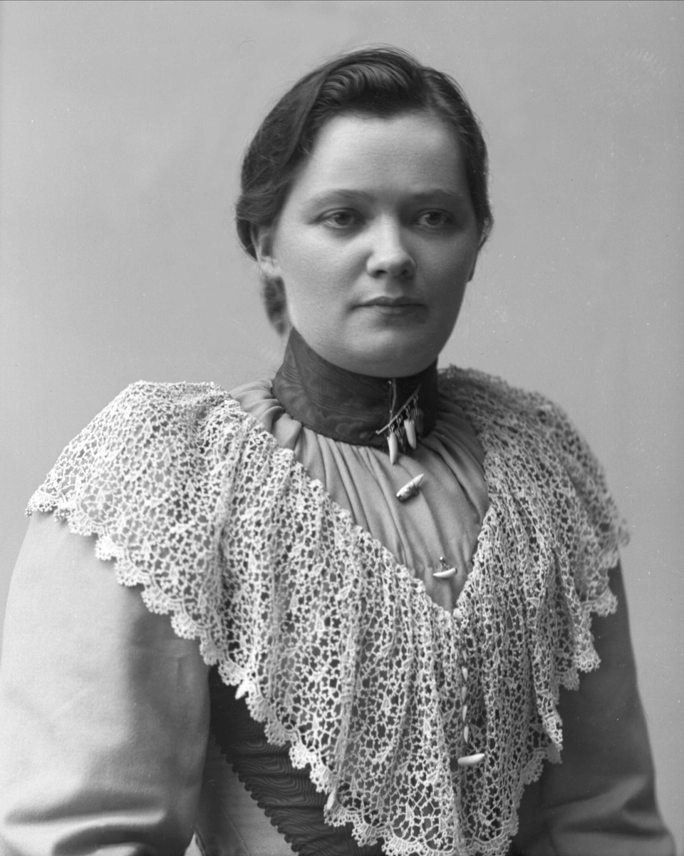 Gustav Borgen, NFB.35202