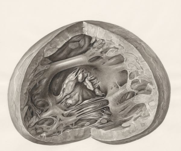 H.G Wetselaar, Heart