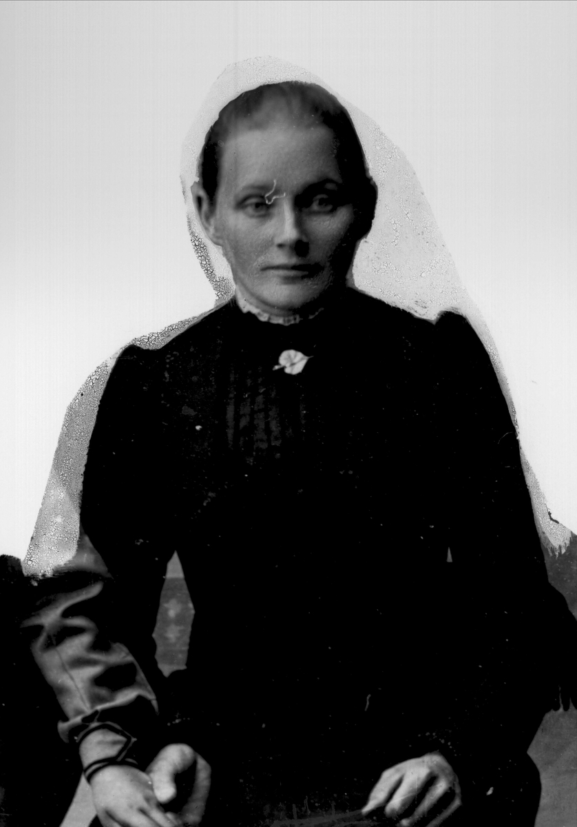 Gustav Borgen, NFB.08792