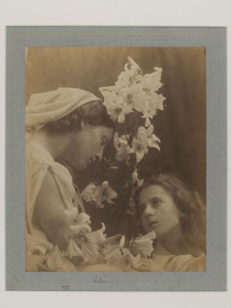 Julia Margaret Cameron, Group