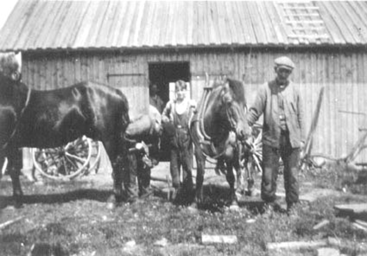 Anno Domkirkeodden, EKSTERIØR: SMIA TIL JOHAN LILJEBÆK, ROMEDAL, FORAN MANN MED HESTER: BEKKENG, BERTINIUS