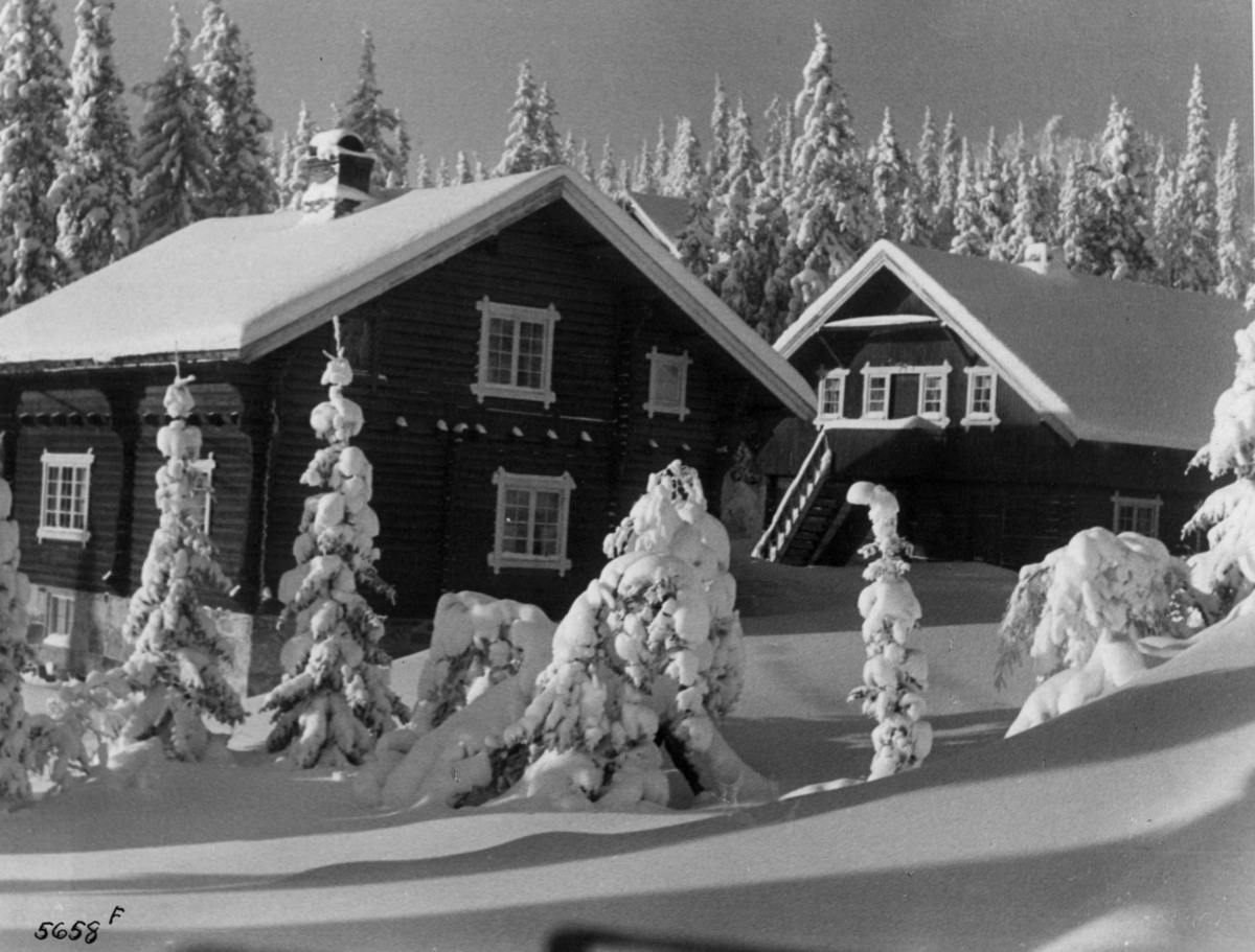 Anders Beer Wilse, Bebyggelse, Vinter, Sno