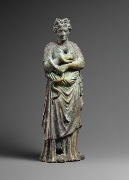 Unknown, Salus