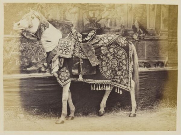 Franck, Photograph