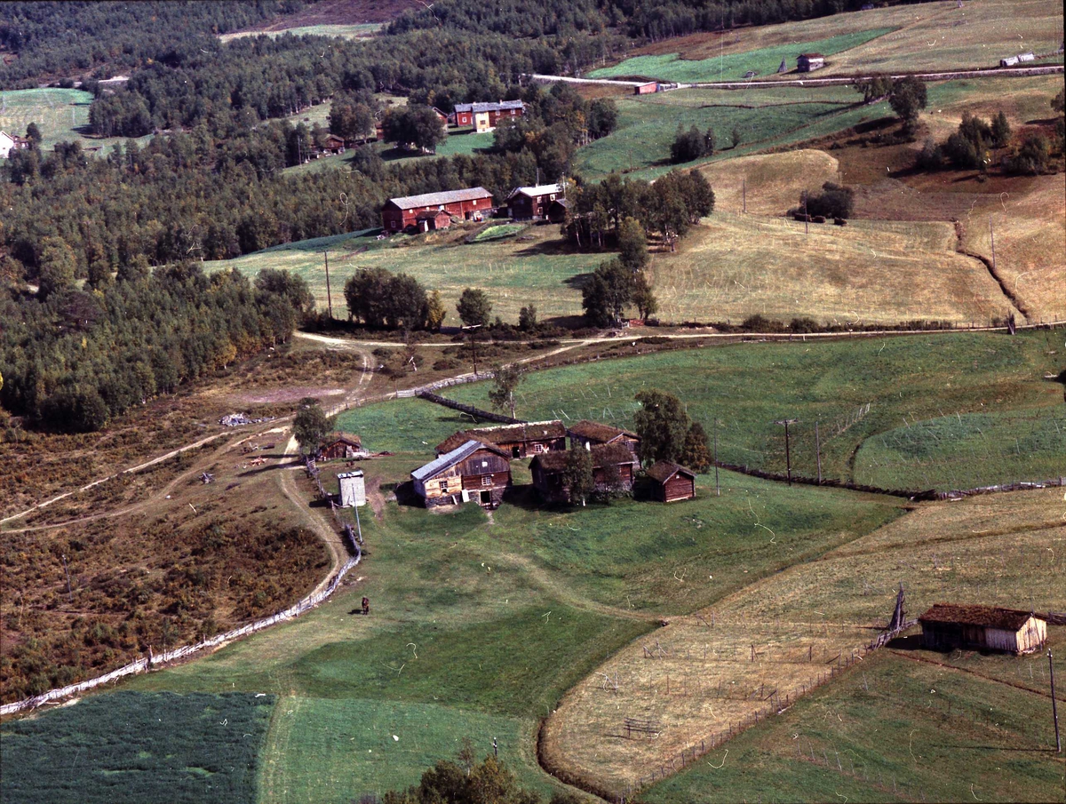 Widerøes Flyveselskap A/S, Gårdsbruk.