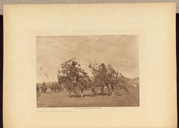 Edward S. Curtis, Boughs for the Altar - Cheyenne