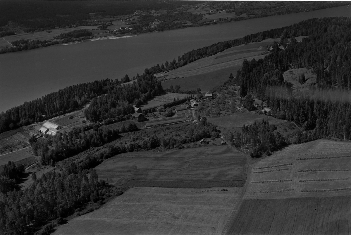 Widerøes Flyveselskap A/S, Flyfoto av Åmot gartneri, Bergseng, Ringsaker.