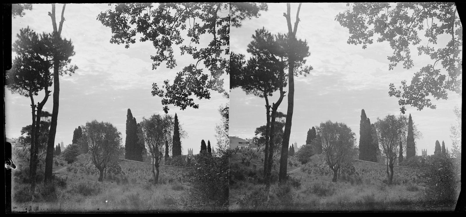 Desconegut, [Natural environment of the mountain of St. Peter Martyr]
