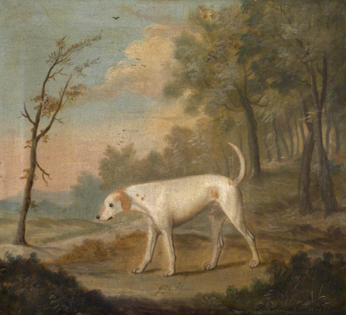 Francis Sartorius, 'Billy', a White Hound