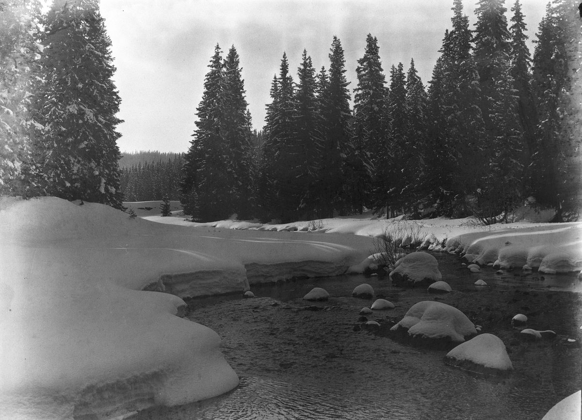 Anders Beer Wilse, Prot: Skogen - Spaanselven