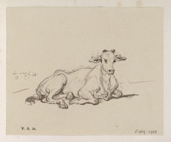 George Chinnery, A cow