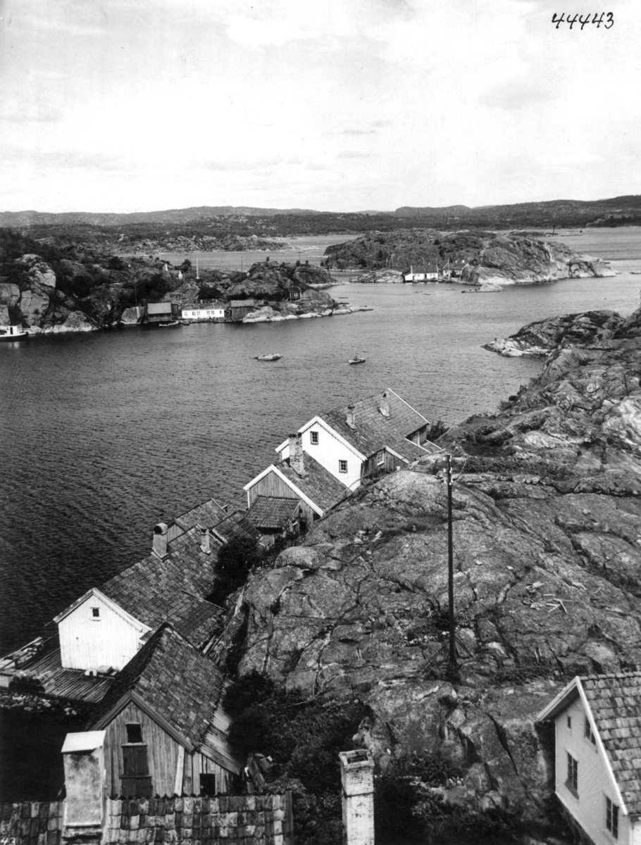 Anders Beer Wilse, Wilse original, Ny Hellesund