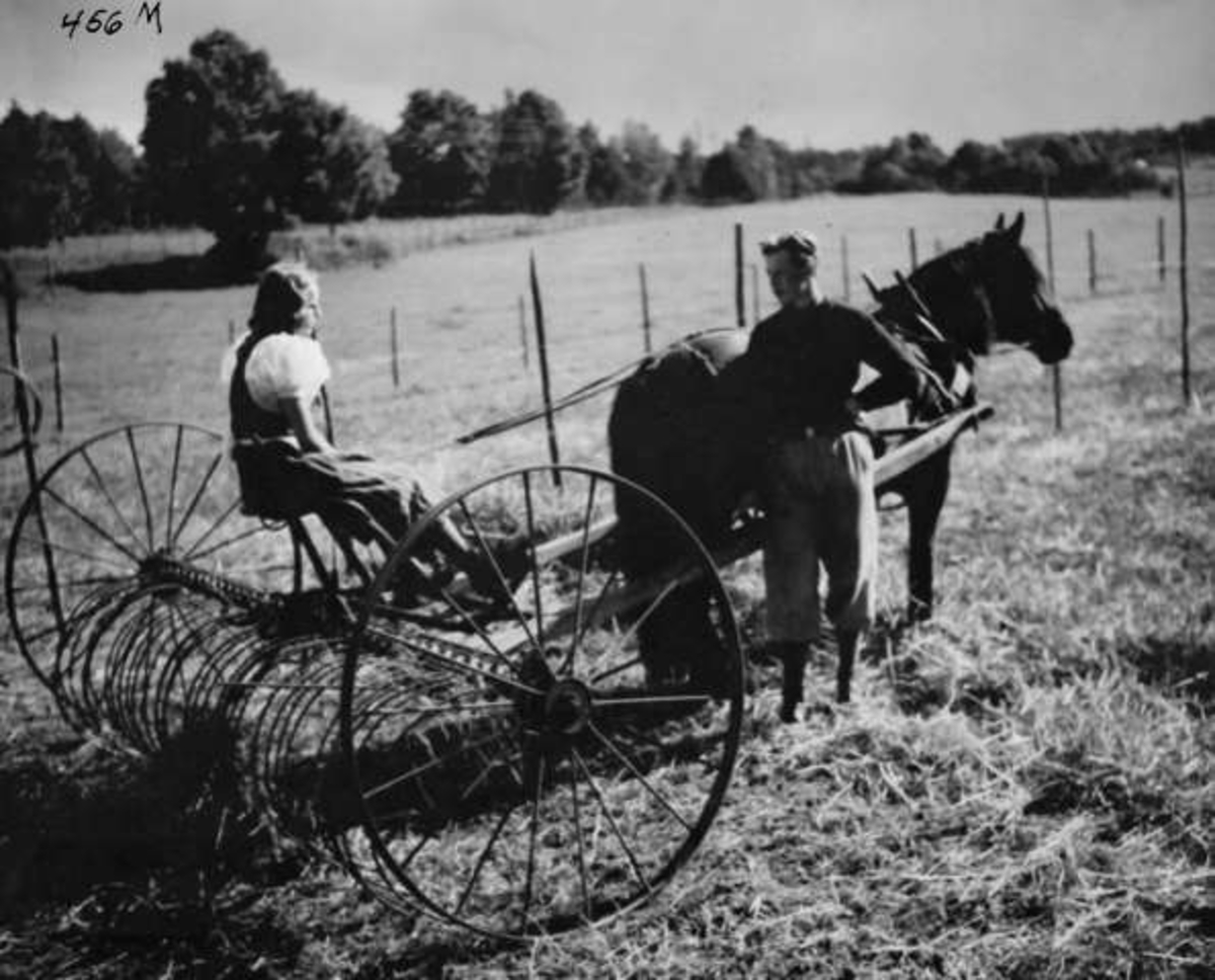 Anders Beer Wilse, -8037