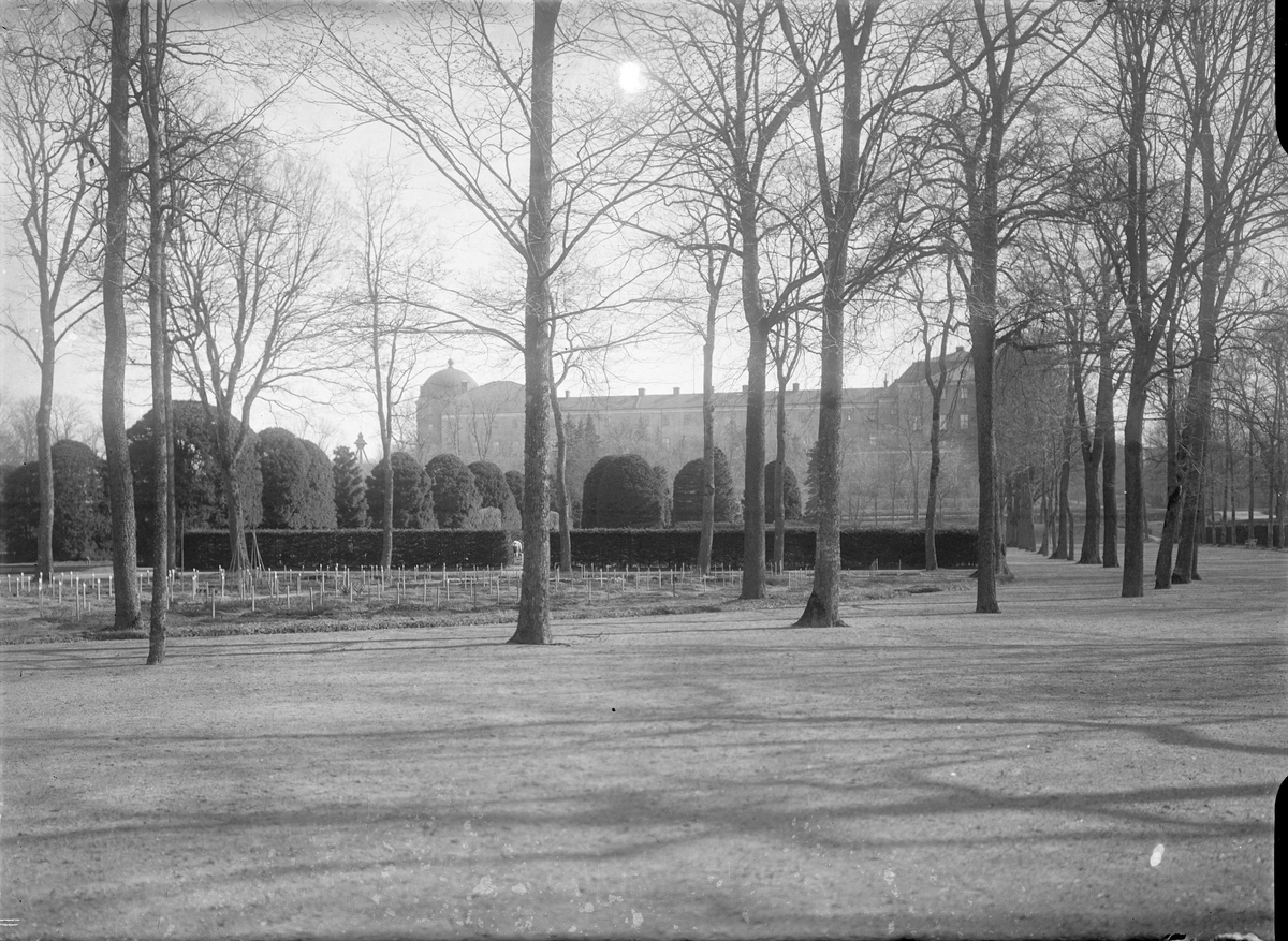 Henri Osti's Fotografiateliér, Botaniska trädgården mot Uppsala slott, Uppsala 1886
