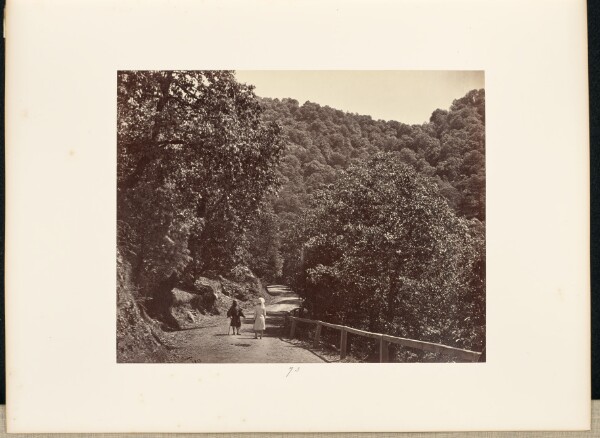 Samuel Bourne, Simla; A Shady Ride round [sic] Jakko