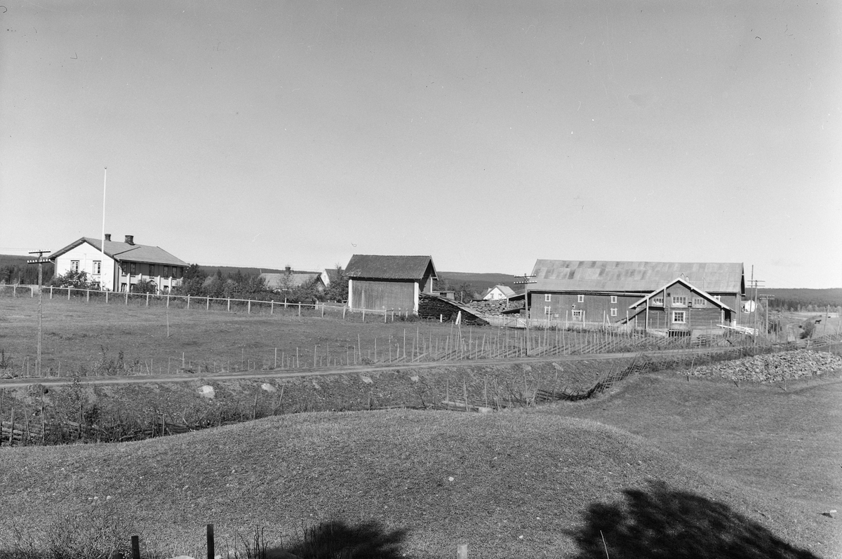 Anno Domkirkeodden, EKSTR: GARDSTUN, HJELSENG, LØTEN. Se Løtenboka, bind 1. Bygdeboka fra 1949, side 782