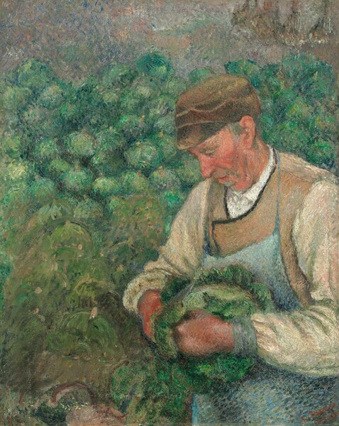 Camille Pissarro, The Gardener - Old Peasant with Cabbage