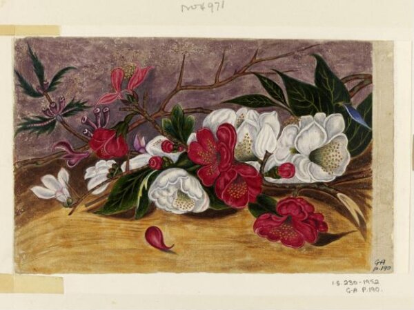 Unknown, Painting
