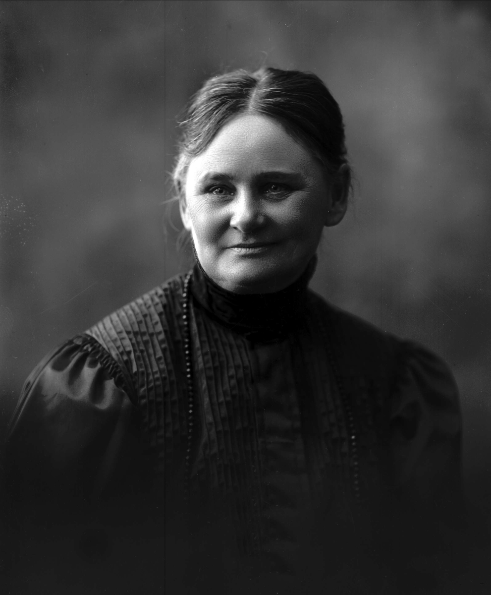 Gustav Borgen, NFB.04475
