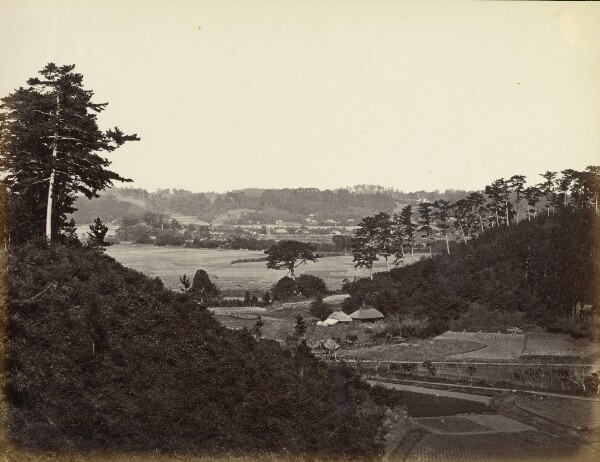Felice Beato, View of the Old Road to Mississippi Bay