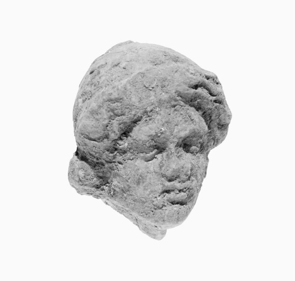 Unknown, Head of a Boy