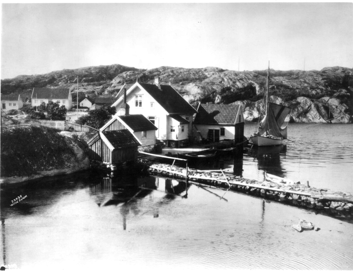 Anders Beer Wilse, Wilse original, Ny Hellesund