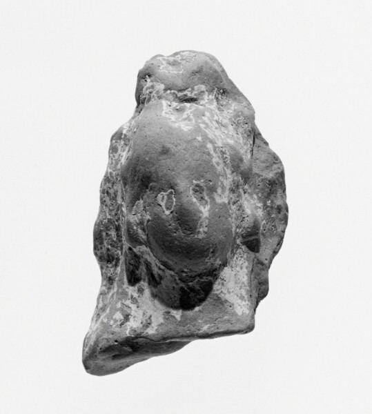 Unknown, Female Head
