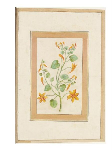 Unknown, Painting