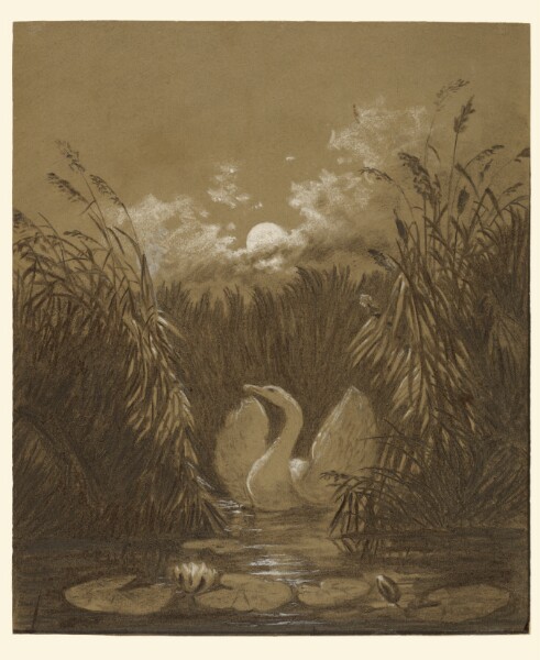Carl Gustav Carus, A Swan Among the Reeds, by Moonlight