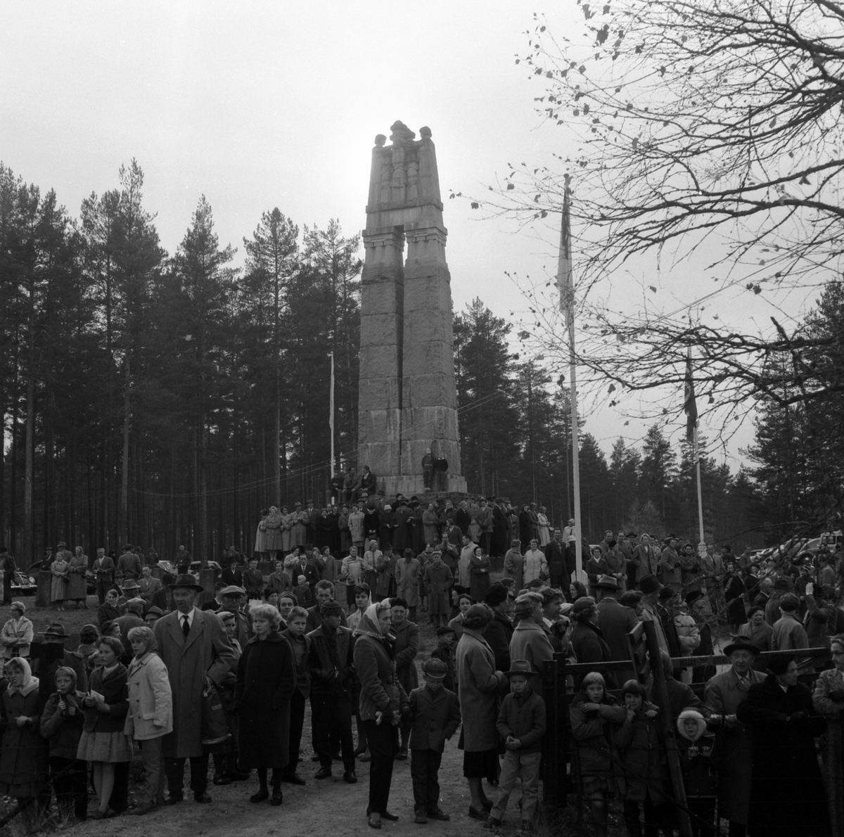 Adolf Skjegstad, ASK-04603