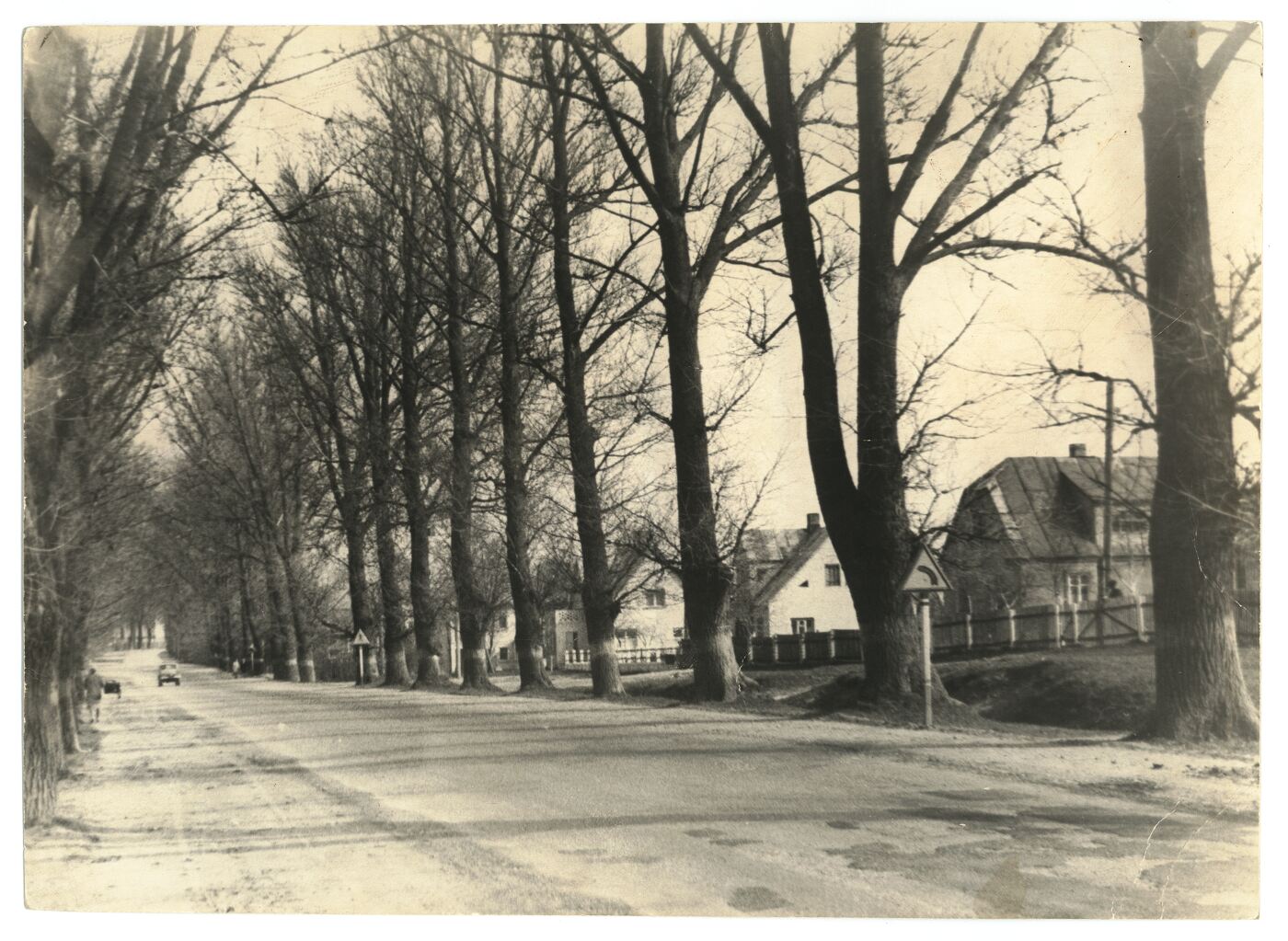 Nežinomas fotografas, Topolių alėja Raudondvaryje
