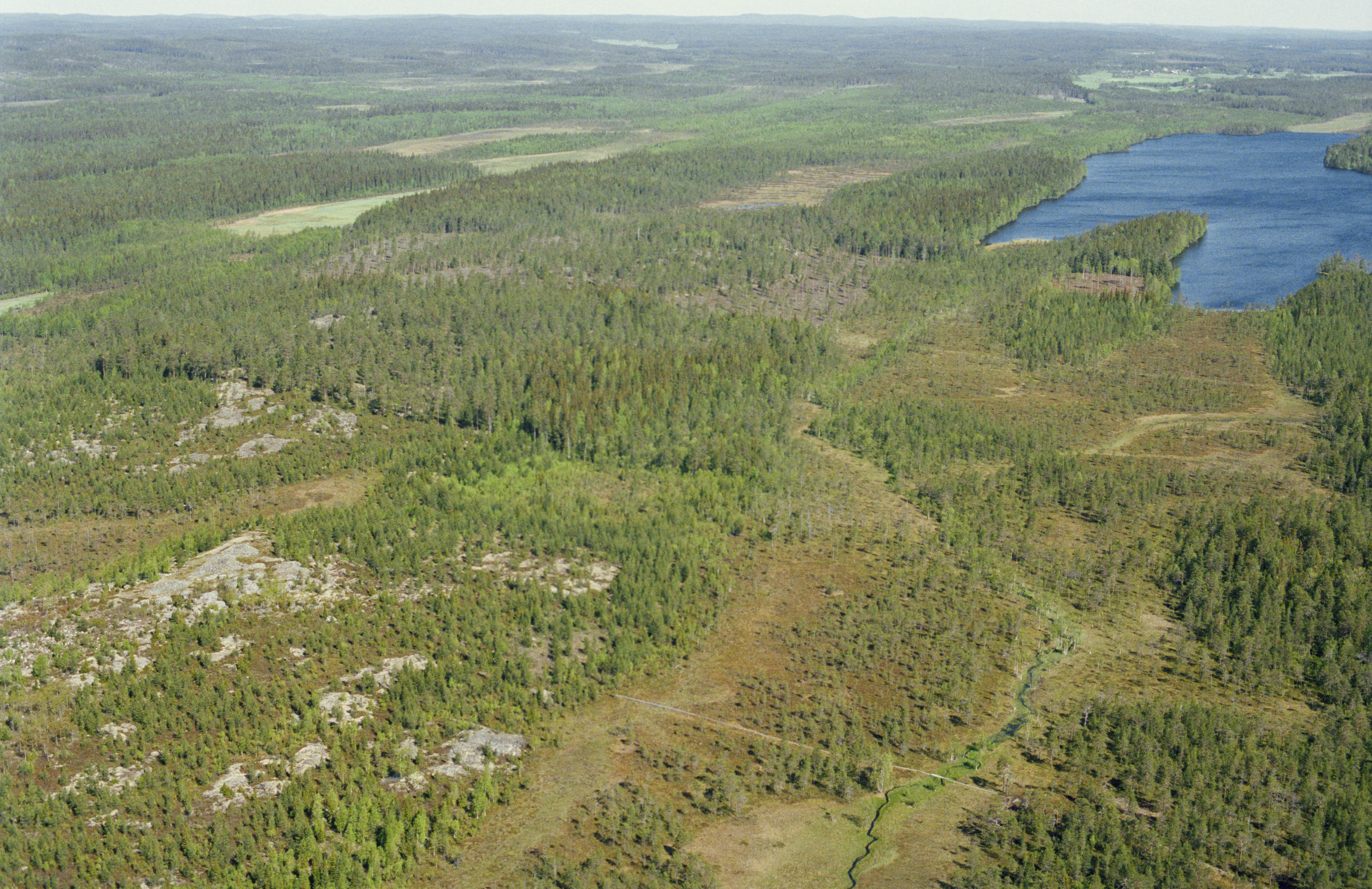Jan Norrman, Umeå stad 47:1