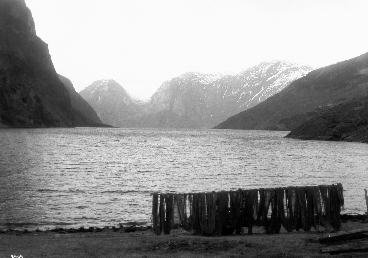 Anders Beer Wilse, Prot: Fretheimsfjorden Auerland 1908