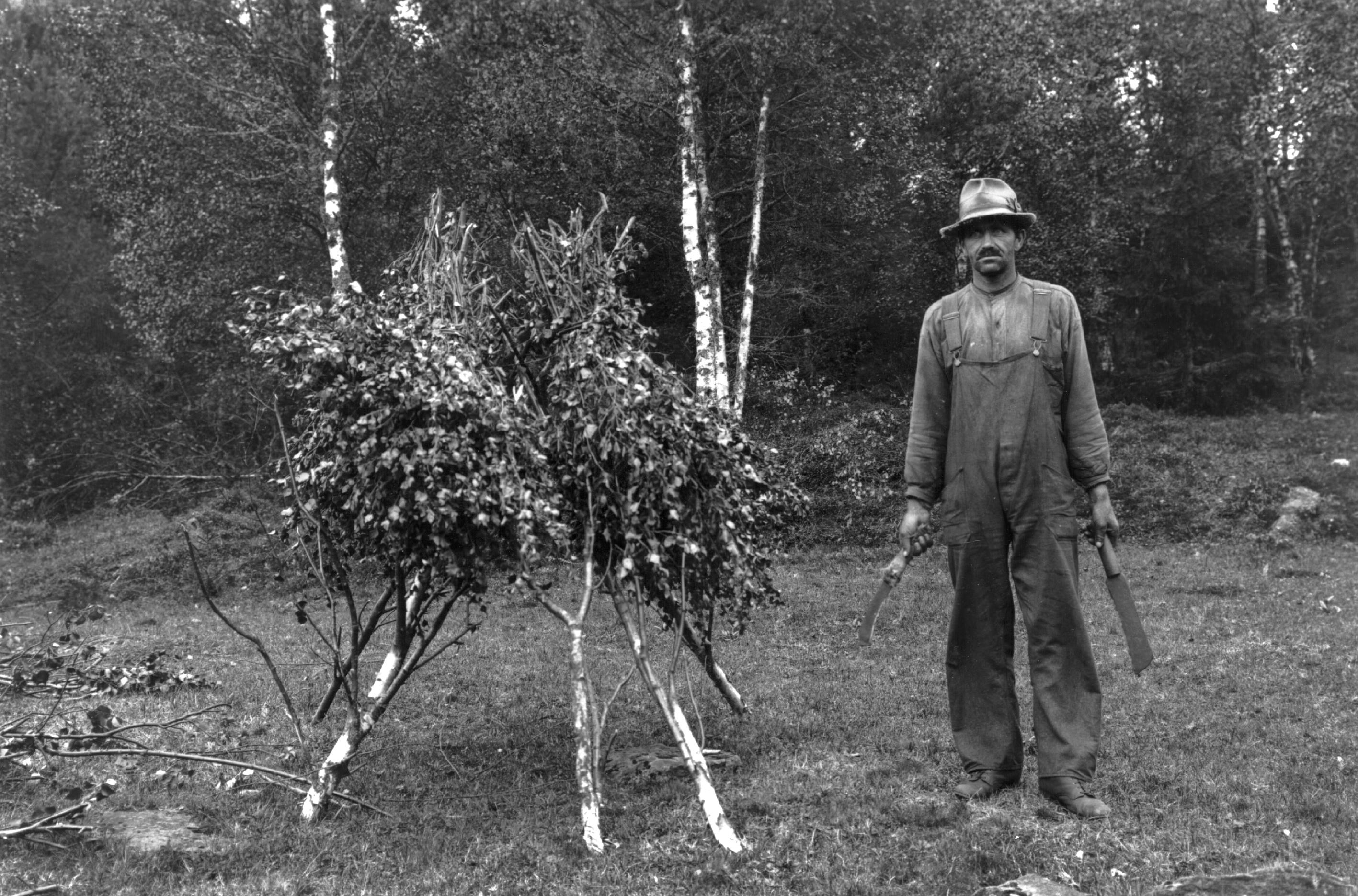 Mårten Sjöbeck, Olofsered