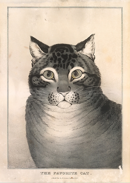 Nathaniel Currier, The Favorite Cat