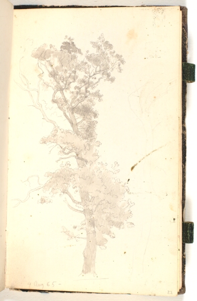 P.C. Skovgaard, Et stort træ