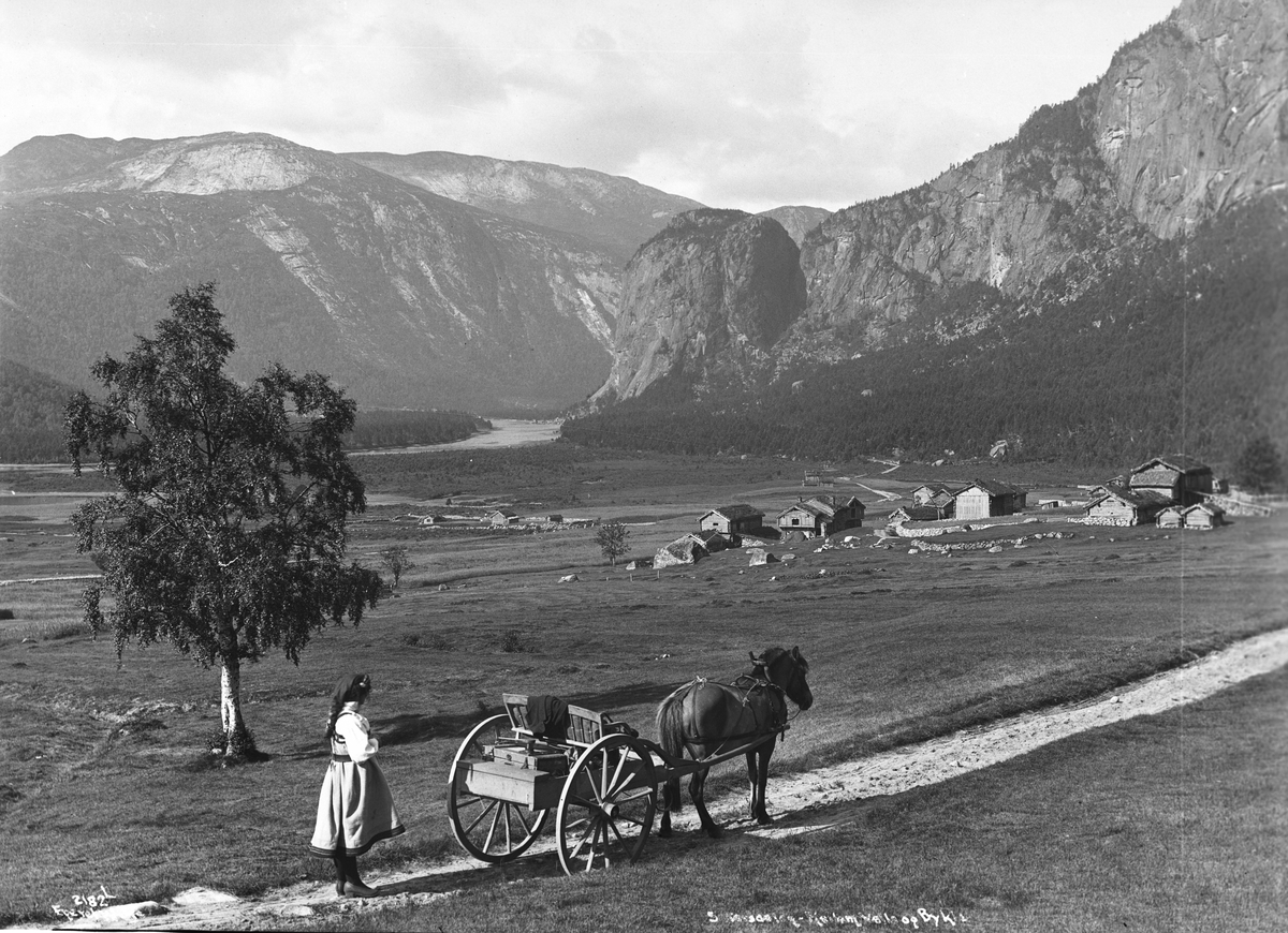Axel Lindahl, "Prot: Mellem Valle og Bykle