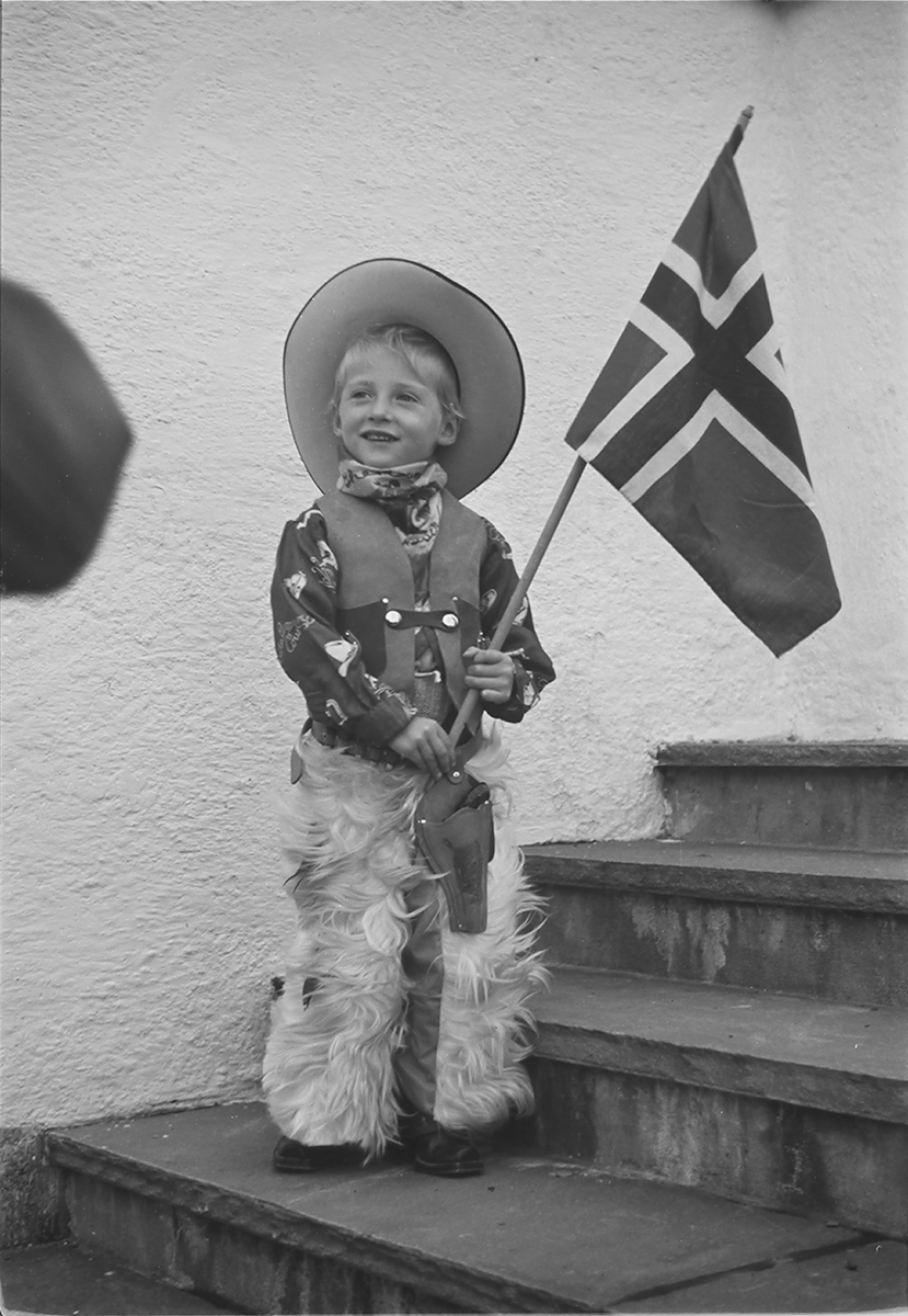 Anders Beer Wilse, Prot: Harald med flagg
