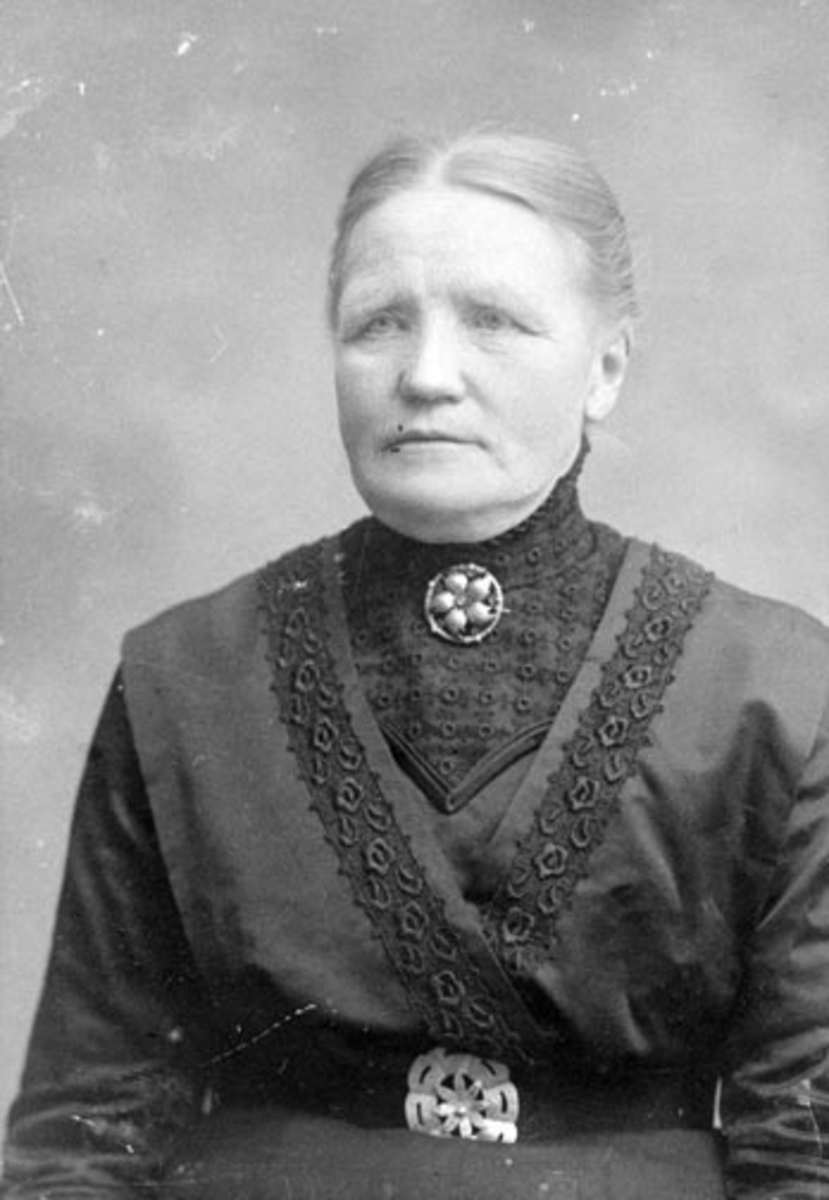Anno Domkirkeodden, Portrett, Lise Sølvsberg F.Kjendli (1863-1923), gift med Morten G. Sølvsberg, Sølvsberg østre, Nes, Hedmark.