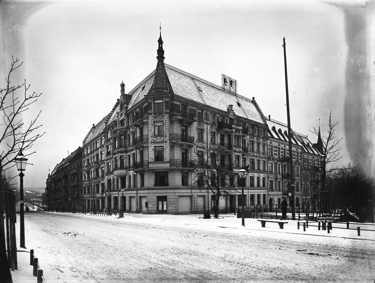 Anders Beer Wilse, Prot: Bygdø Allé med Gabels gate 15/1 1904