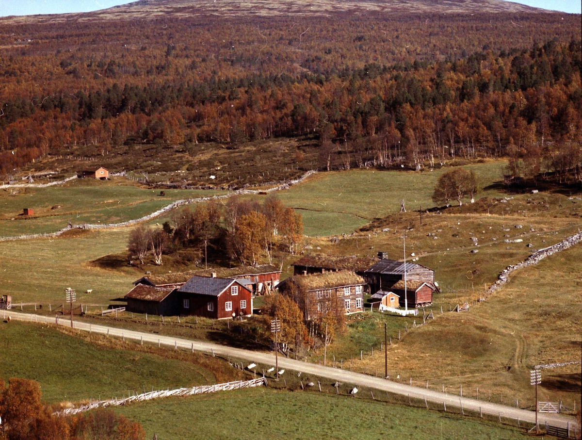 Widerøes Flyveselskap A/S, Gårdsbruk.